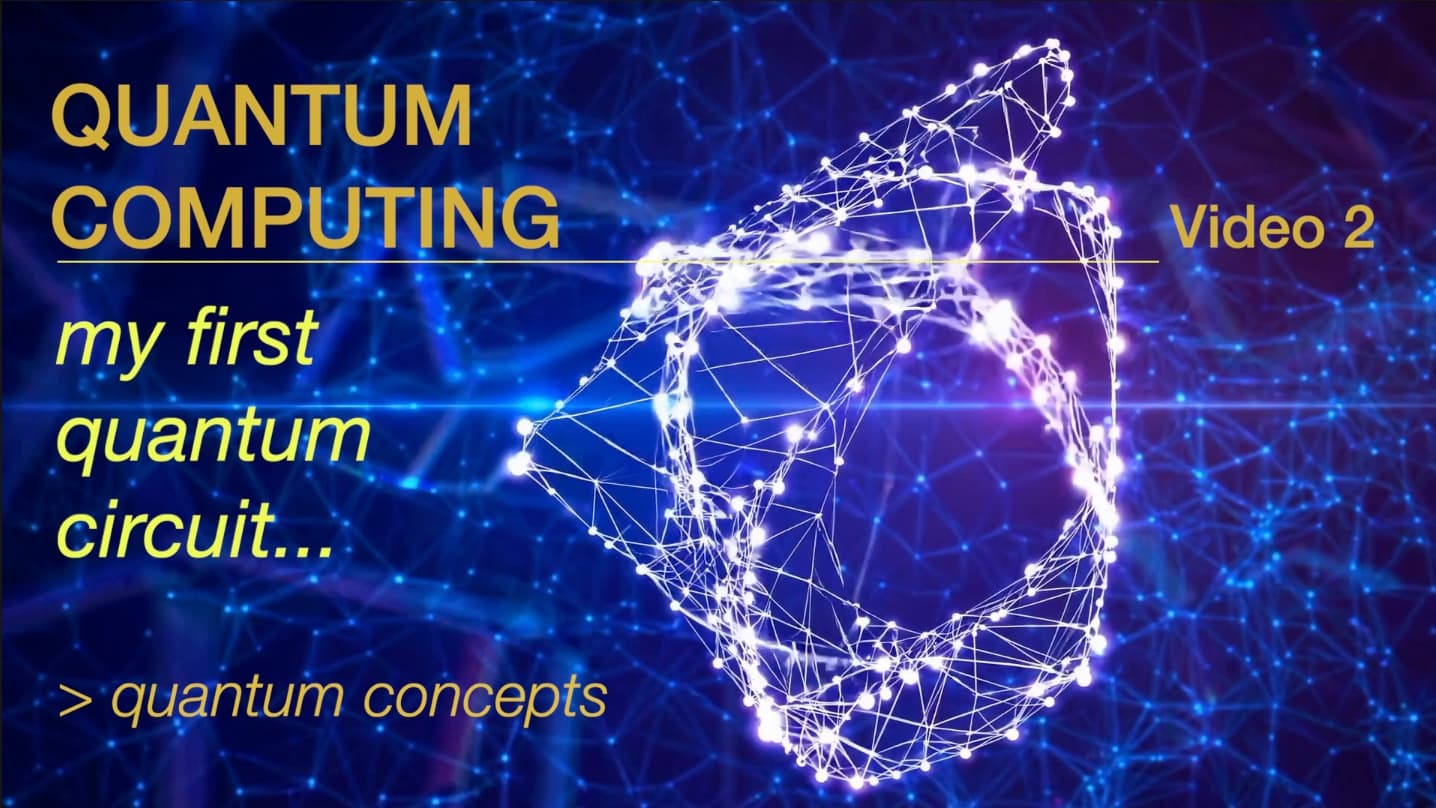 How Quantum Computers Think